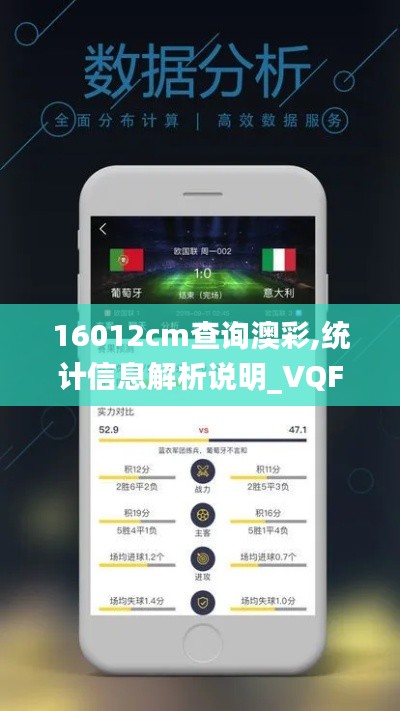 16012cm查询澳彩,统计信息解析说明_VQF15.61