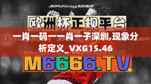 一肖一码一一肖一子深圳,现象分析定义_VXG15.46