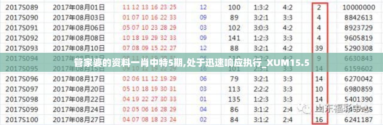 管家婆的资料一肖中特5期,处于迅速响应执行_XUM15.5