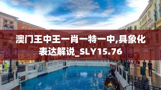 澳门王中王一肖一特一中,具象化表达解说_SLY15.76