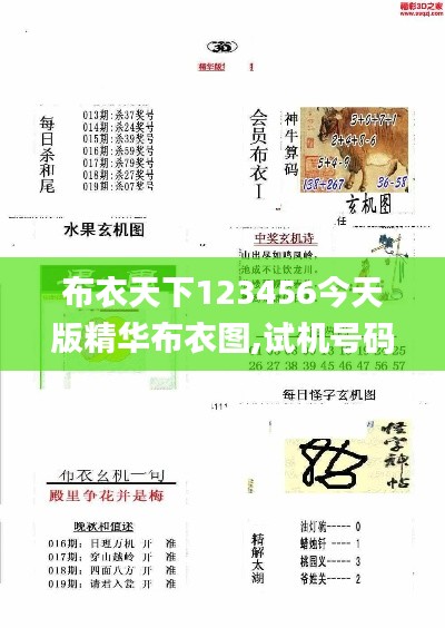 布衣天下123456今天版精华布衣图,试机号码,实地验证策略具体_GNQ15.63