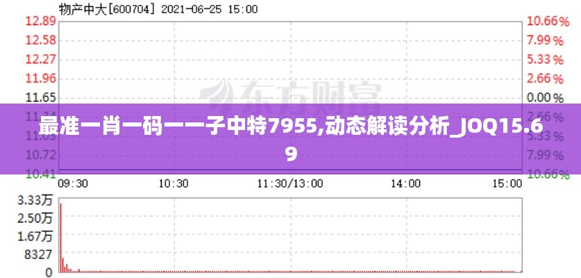 最准一肖一码一一子中特7955,动态解读分析_JOQ15.69