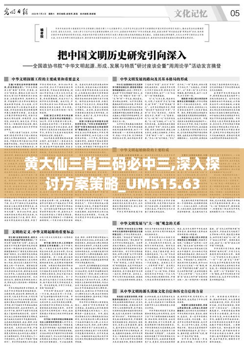 黄大仙三肖三码必中三,深入探讨方案策略_UMS15.63