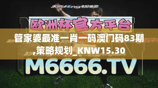 管家婆最准一肖一码澳门码83期,策略规划_KNW15.30