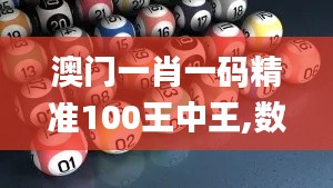 澳门一肖一码精准100王中王,数据整合决策_QWU15.24