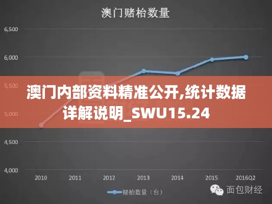 澳门内部资料精准公开,统计数据详解说明_SWU15.24