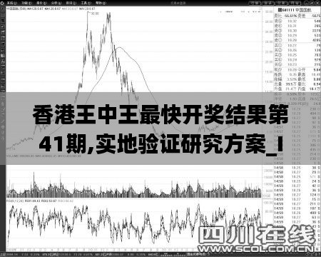 香港王中王最快开奖结果第41期,实地验证研究方案_IRN15.51