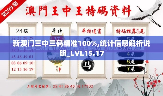 新澳门三中三码精准100%,统计信息解析说明_LVL15.17