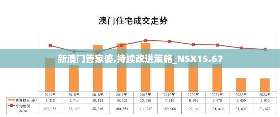 新澳门管家婆,持续改进策略_NSX15.67