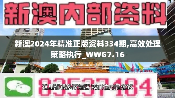 新澳2024年精准正版资料334期,高效处理策略执行_WWG7.16