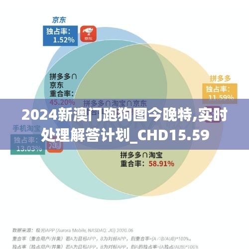 2024新澳门跑狗图今晚特,实时处理解答计划_CHD15.59