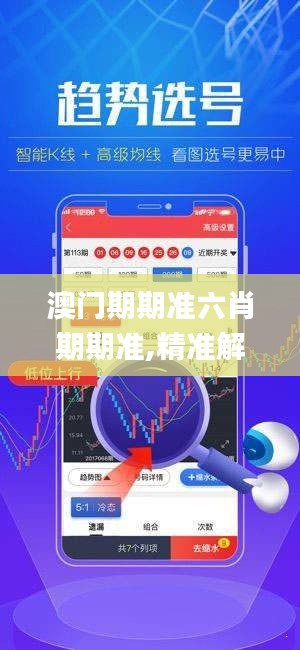 澳门期期准六肖期期准,精准解答方案详解_CYX15.43