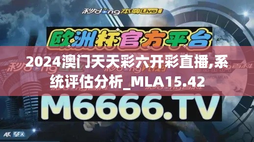 2024澳门天天彩六开彩直播,系统评估分析_MLA15.42