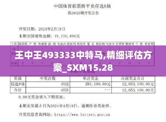 王中王493333中特马,精细评估方案_SXM15.28