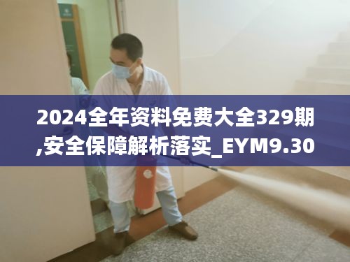 2024全年资料免费大全329期,安全保障解析落实_EYM9.30