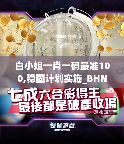 白小姐一肖一码最准100,稳固计划实施_BHN15.32