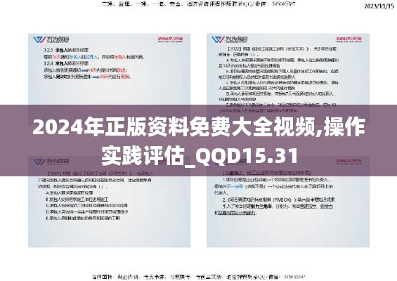 2024年正版资料免费大全视频,操作实践评估_QQD15.31