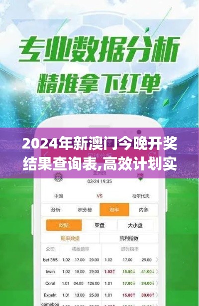 2024年新澳门今晚开奖结果查询表,高效计划实施_MTU15.98