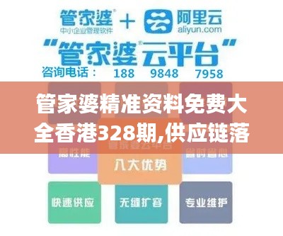 管家婆精准资料免费大全香港328期,供应链落实解答_HEE3.13