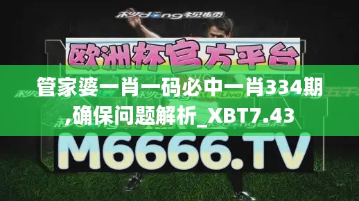 管家婆一肖一码必中一肖334期,确保问题解析_XBT7.43