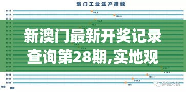 新澳门最新开奖记录查询第28期,实地观察数据设计_IDO15.90