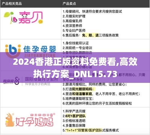 2024香港正版资料免费看,高效执行方案_DNL15.73