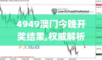 4949澳门今晚开奖结果,权威解析方法_EGL15.69