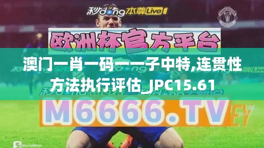 澳门一肖一码一一子中特,连贯性方法执行评估_JPC15.61