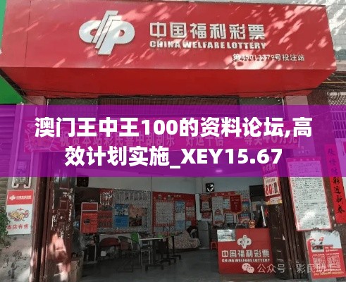 澳门王中王100的资料论坛,高效计划实施_XEY15.67