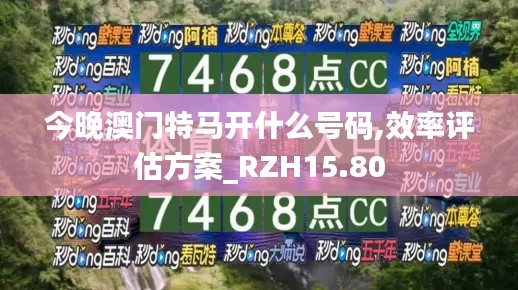 今晚澳门特马开什么号码,效率评估方案_RZH15.80