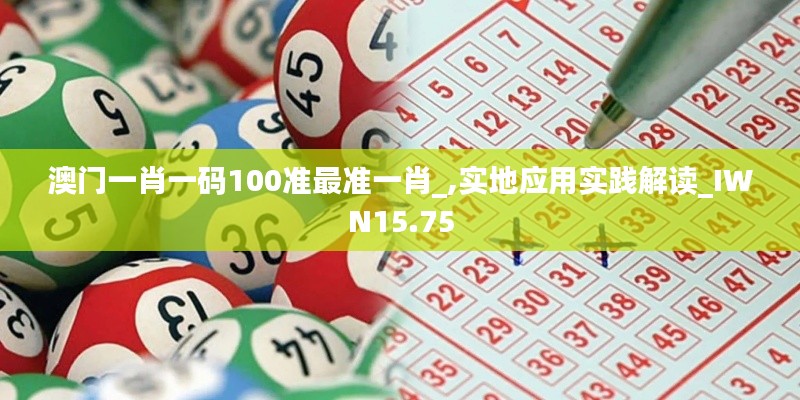 澳门一肖一码100准最准一肖_,实地应用实践解读_IWN15.75