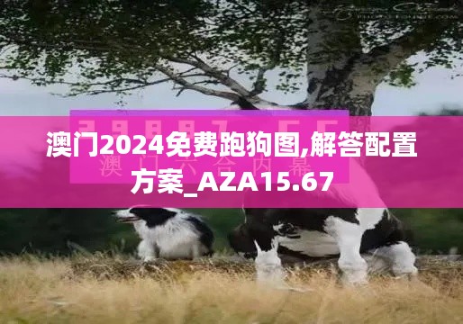 澳门2024免费跑狗图,解答配置方案_AZA15.67