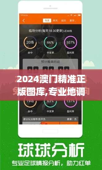 2024澳门精准正版图库,专业地调查详解_WHE15.84