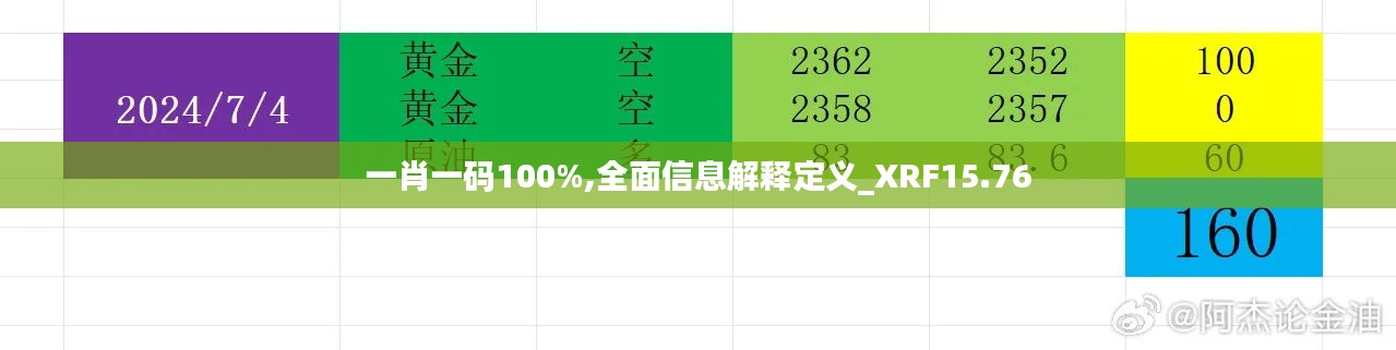 一肖一码100%,全面信息解释定义_XRF15.76