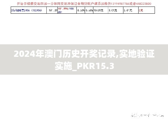 2024年澳门历史开奖记录,实地验证实施_PKR15.3