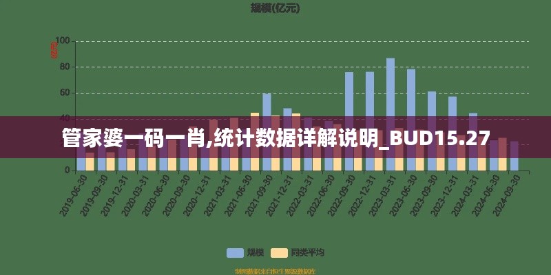 管家婆一码一肖,统计数据详解说明_BUD15.27