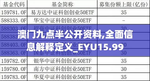 澳门九点半公开资料,全面信息解释定义_EYU15.99