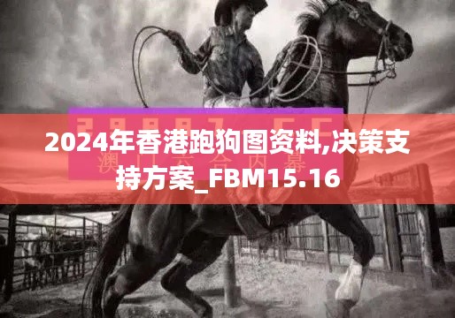 2024年香港跑狗图资料,决策支持方案_FBM15.16