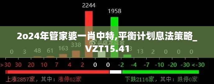 2o24年管家婆一肖中特,平衡计划息法策略_VZT15.41