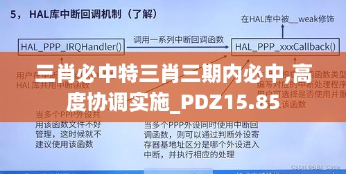 三肖必中特三肖三期内必中,高度协调实施_PDZ15.85