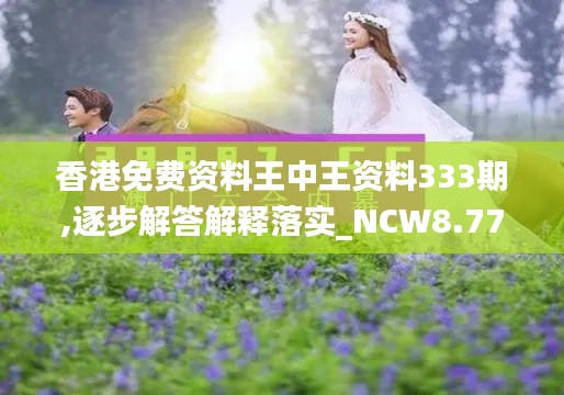 香港免费资料王中王资料333期,逐步解答解释落实_NCW8.77