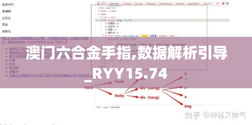 澳门六合金手指,数据解析引导_RYY15.74