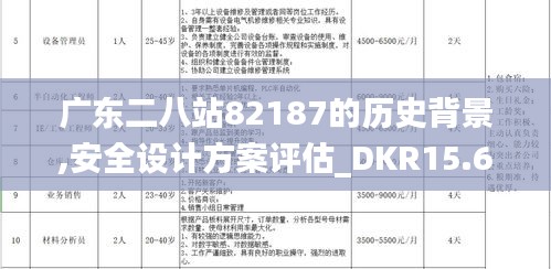 广东二八站82187的历史背景,安全设计方案评估_DKR15.65