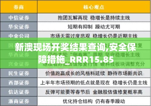 新澳现场开奖结果查询,安全保障措施_RRR15.85