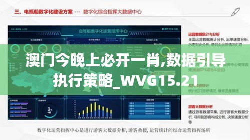 澳门今晚上必开一肖,数据引导执行策略_WVG15.21