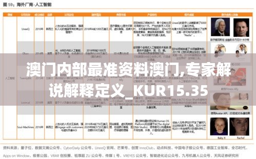 澳门内部最准资料澳门,专家解说解释定义_KUR15.35