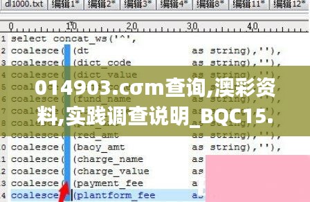 014903.cσm查询,澳彩资料,实践调查说明_BQC15.59