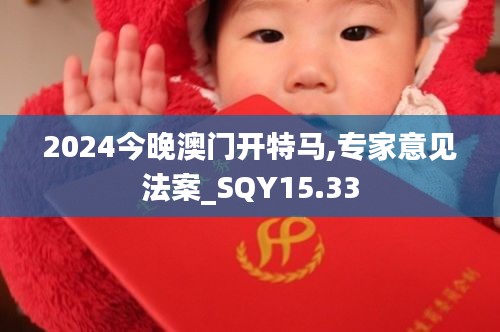 2024今晚澳门开特马,专家意见法案_SQY15.33