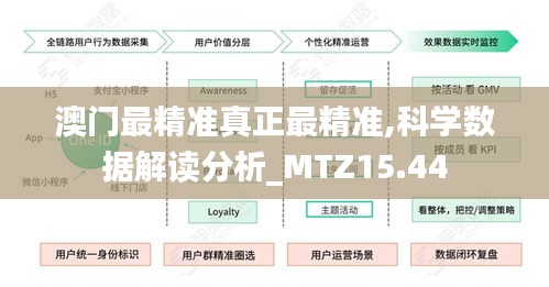 澳门最精准真正最精准,科学数据解读分析_MTZ15.44