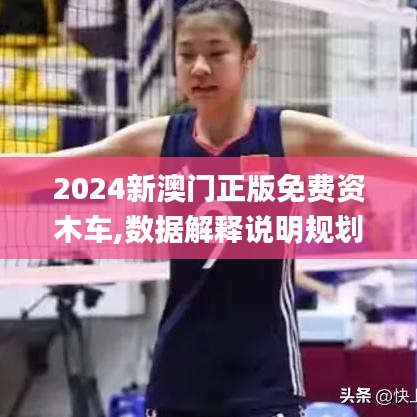 2024新澳门正版免费资木车,数据解释说明规划_BBX15.51